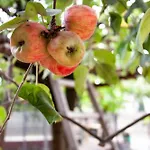 Hostel Sport Cluj-Napoca