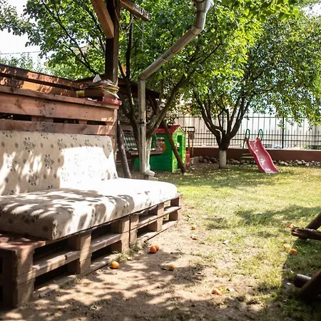 Hostel Sport