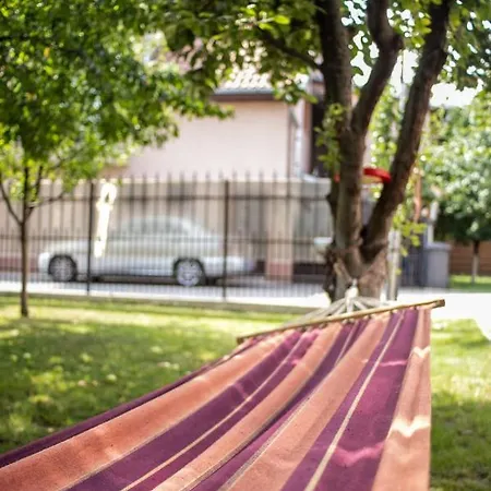 Sport * Cluj-Napoca