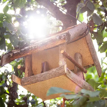 بيت شباب Sport *