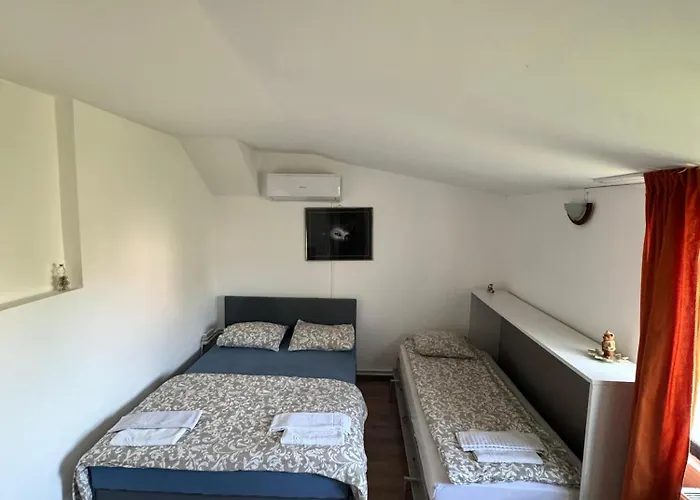 Sport 克卢日-纳波卡