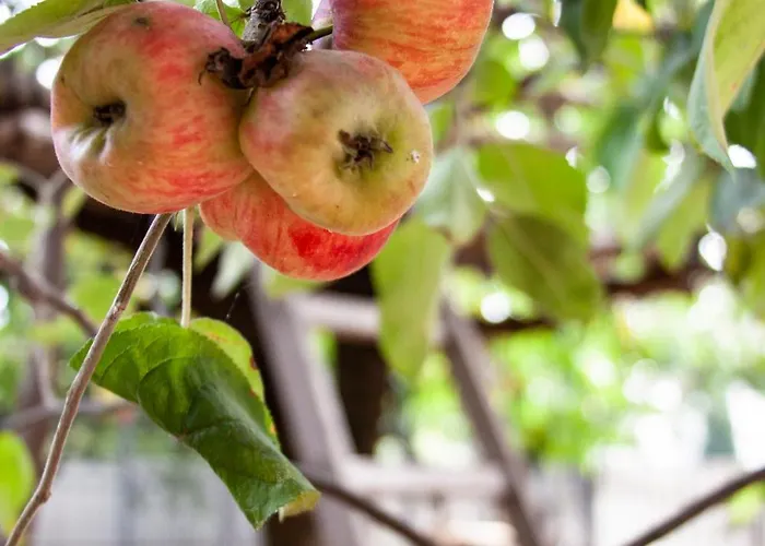 Hostel Sport Cluj-Napoca