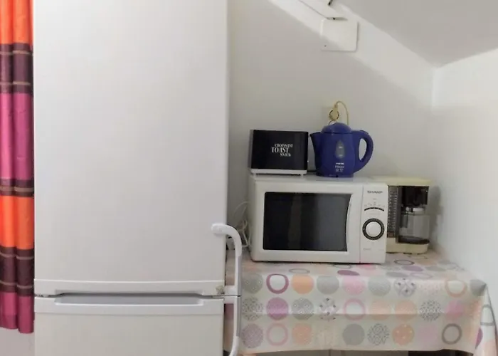 Sport * 克卢日-纳波卡